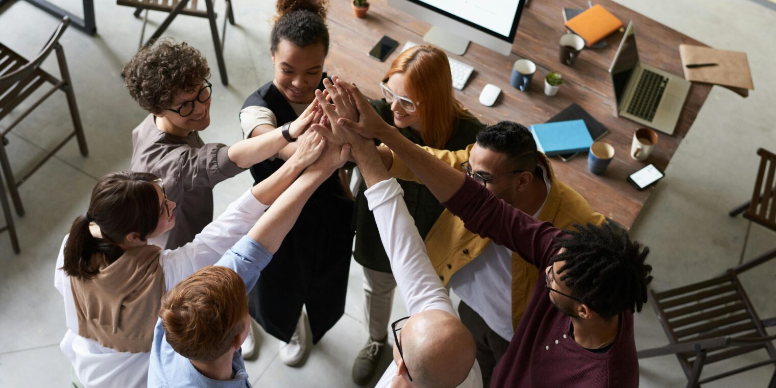 Web Developer Services That Drive Digital Success