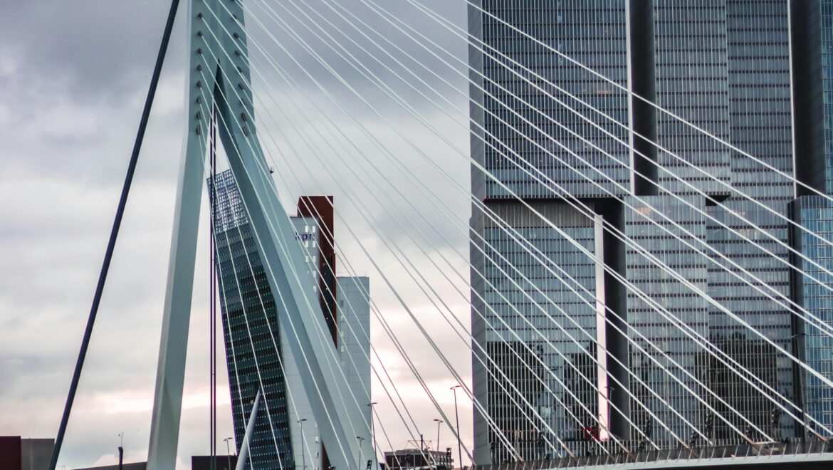 Website Development in Rotterdam: Build Your Online Future