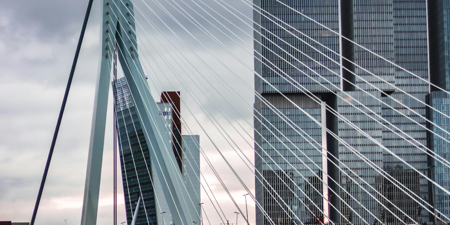 Website Development in Rotterdam: Build Your Online Future
