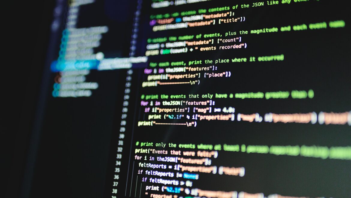 Professional Programmer Services for Your Business